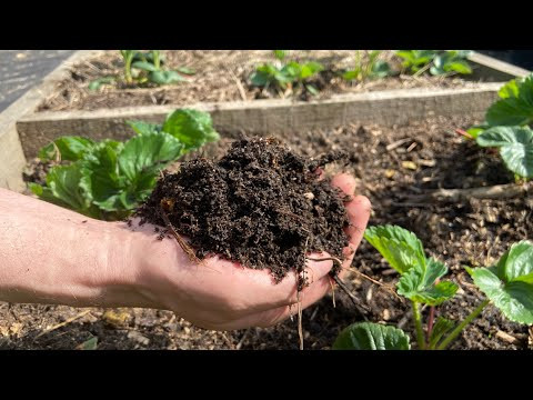 Лучшее удобрение своими руками! Рецепт приготовления компоста! Лучшее удобрение своими руками! Рецепт приготовления компоста!